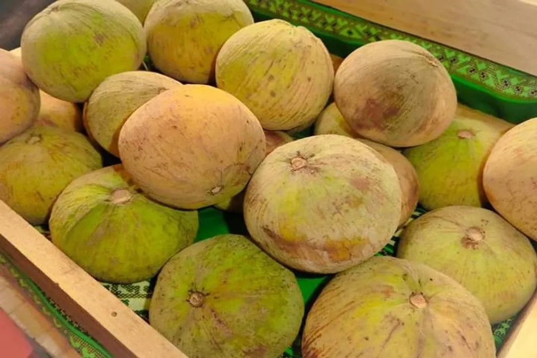Health Benefits of Santol, Nutritional Makeup