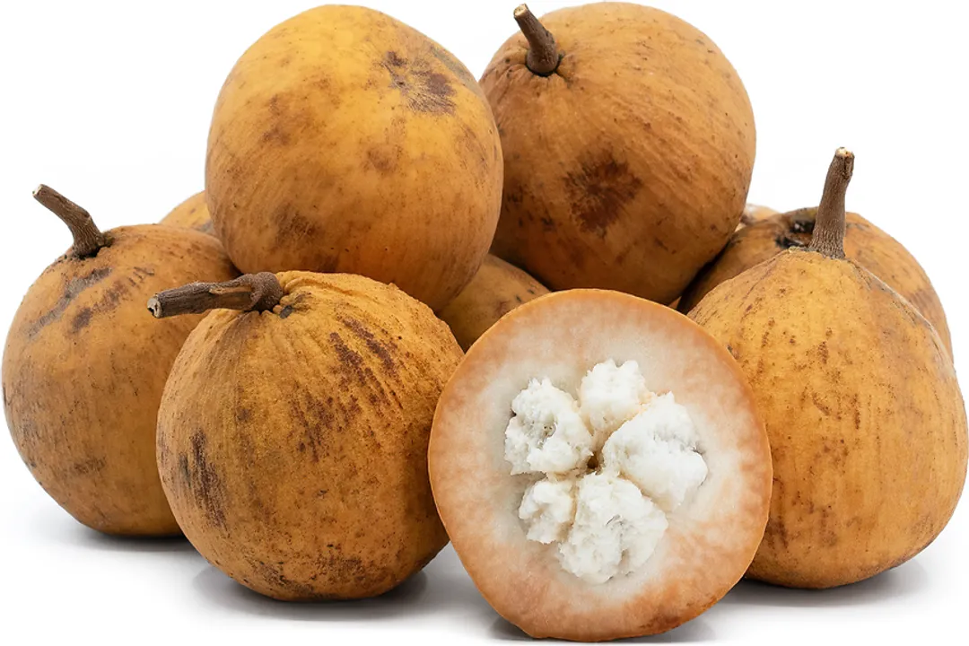 Health Benefits of Santol, Antioxidant Activity