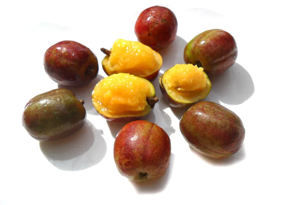 Health Benefits of Sarguelas