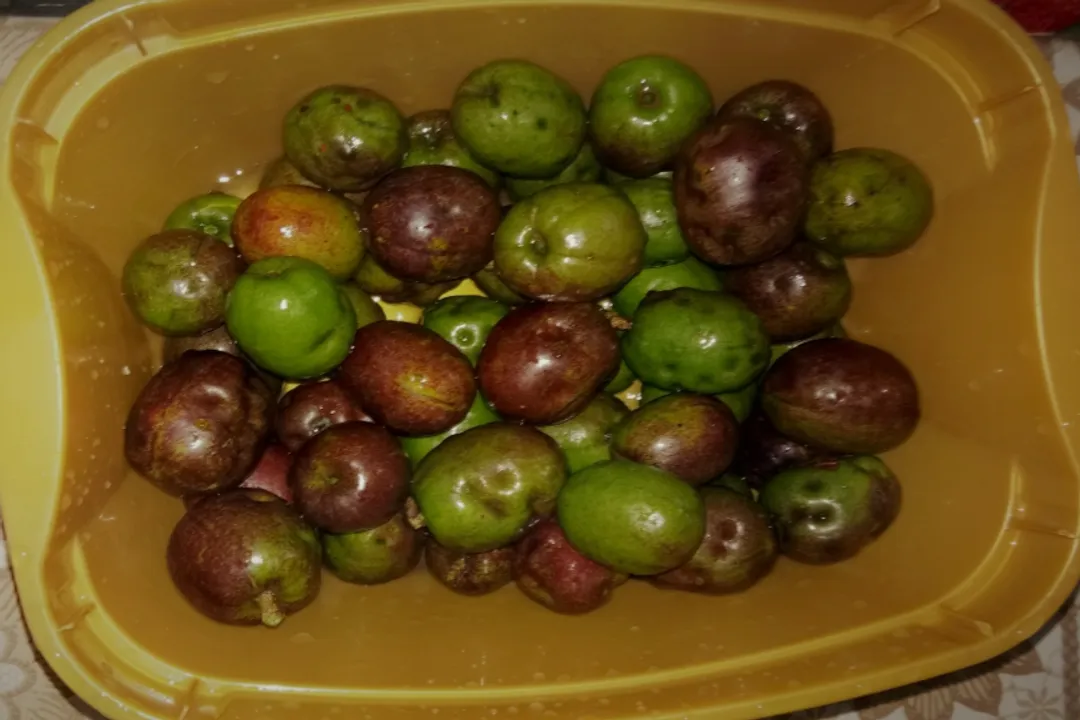 Health Benefits of Sarguelas, Nutritional Foundation