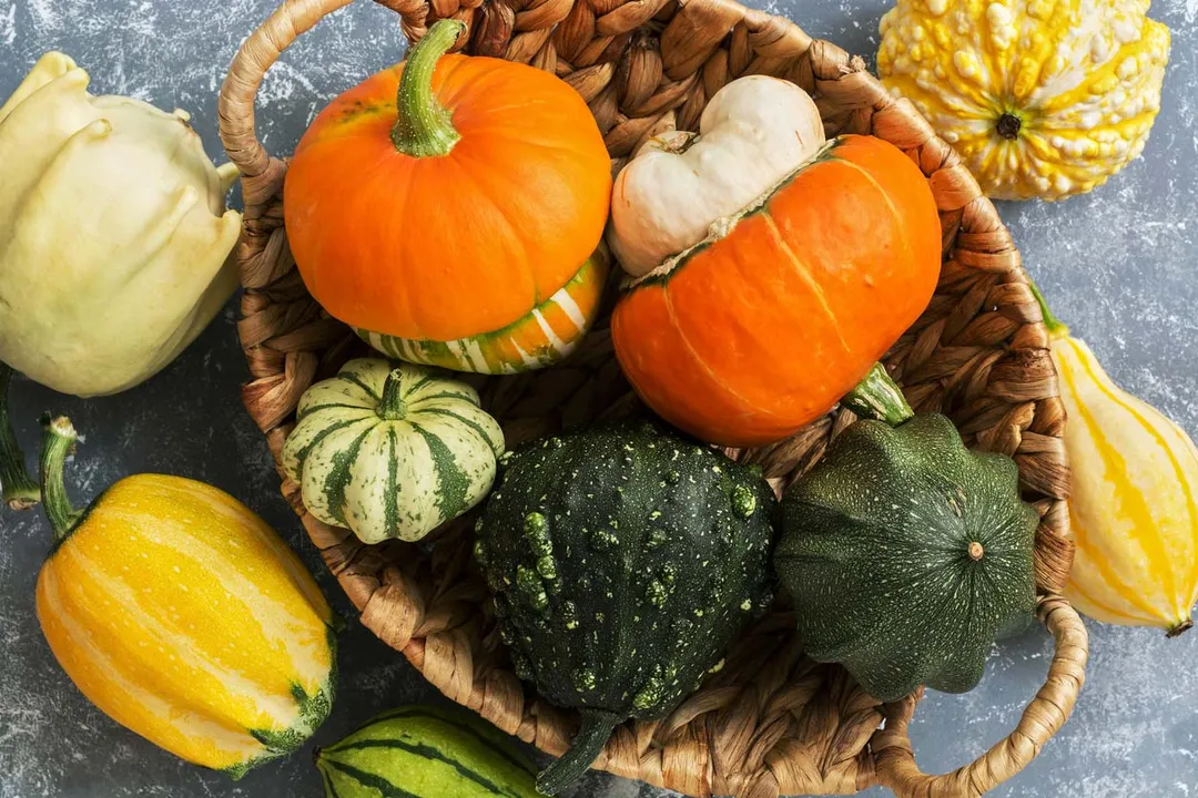 Health Benefits of Squash, Gut Support