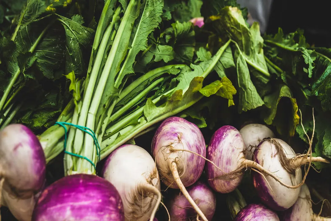Health Benefits of Turnip