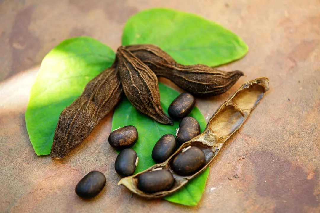 Health Benefits of Velvet Bean