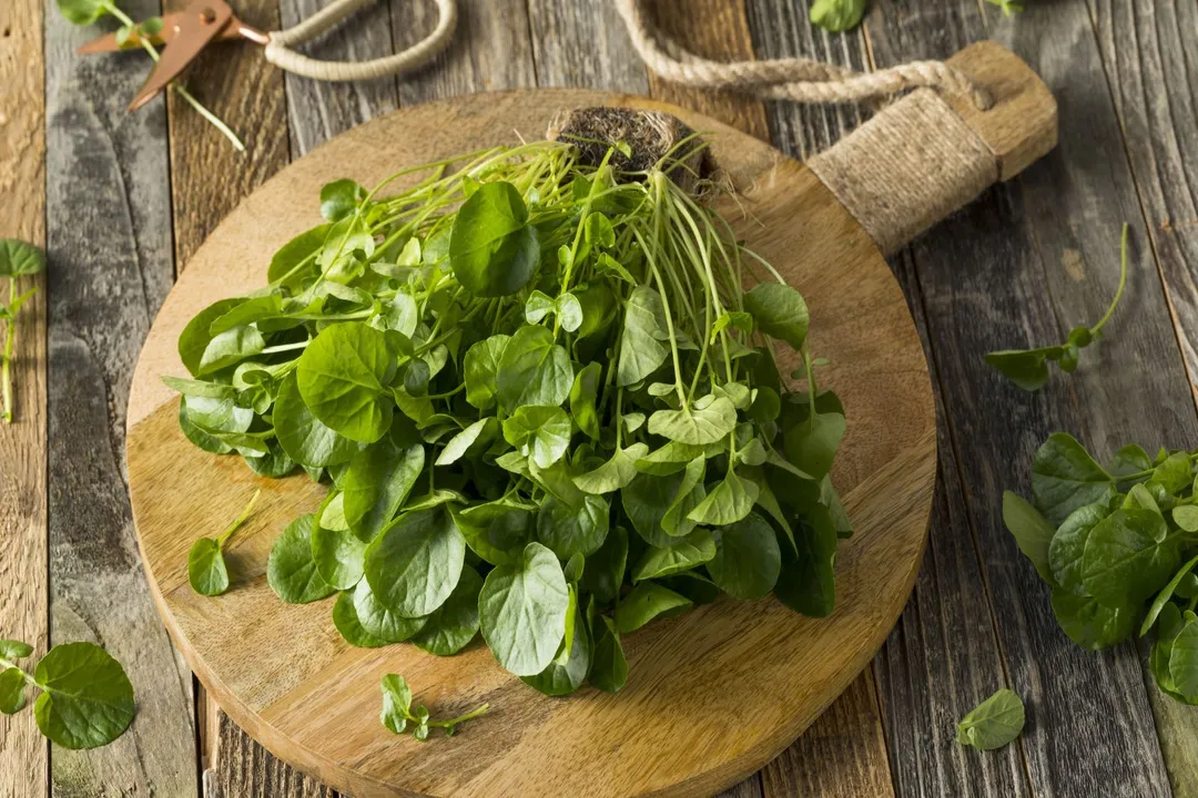 Health Benefits of Watercress, Antioxidant Shield