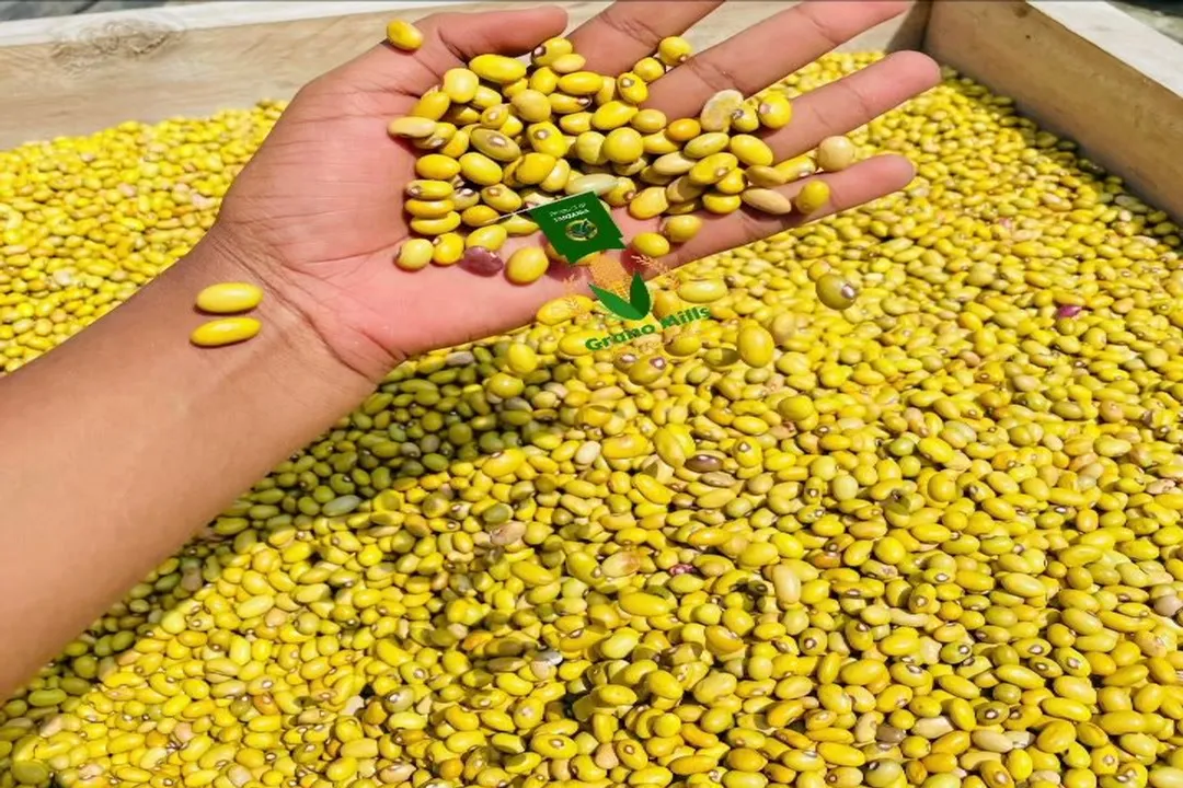 Health Benefits of Wax Bean, Nutritional Foundation