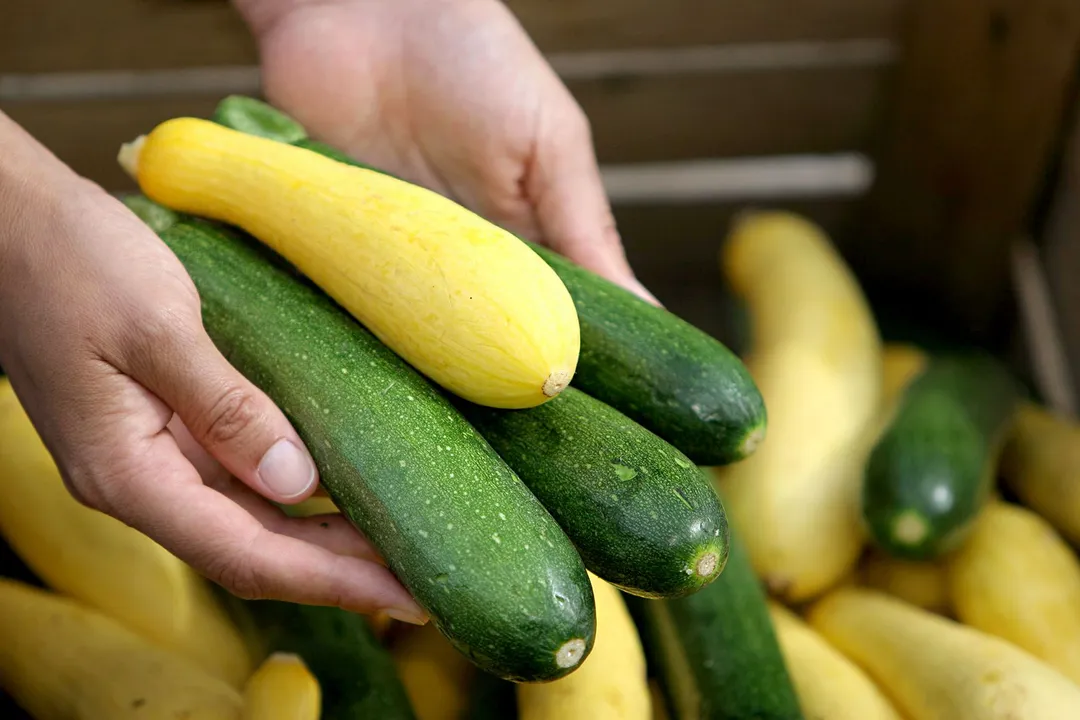 Health Benefits of Yellow Summer Squash, Digestive Support