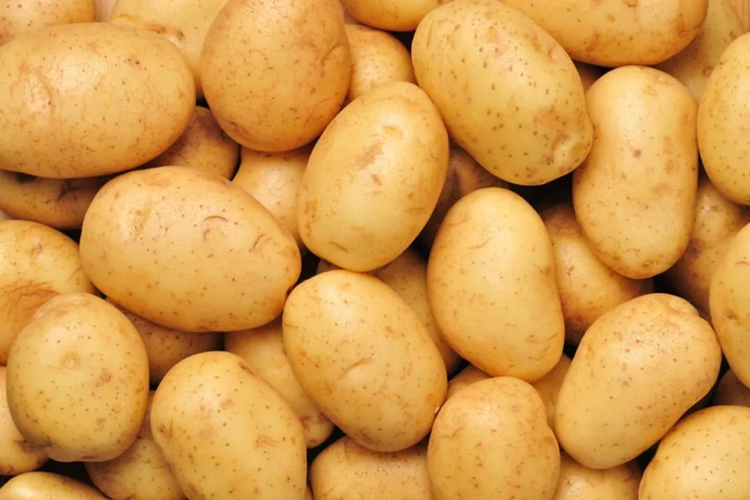 Health Benefits of Yukon Gold Potato, Golden Nutrition