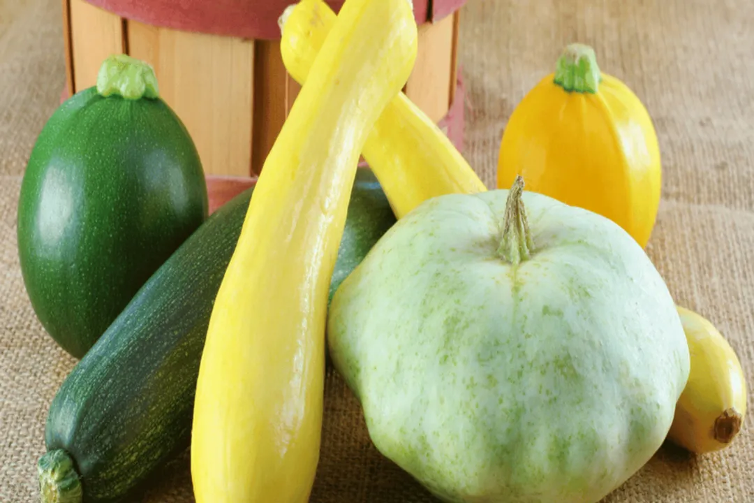 Health Benefits of Zephyr Squash, Nutrient Density