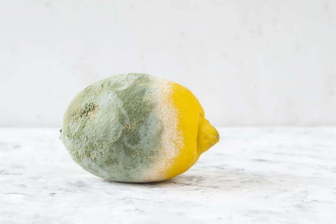 How do you detect food spoilage?