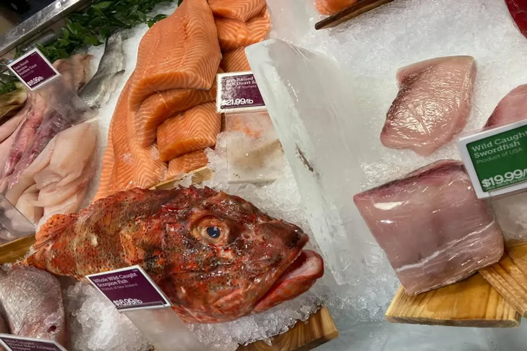 How do you eat scorpion fish?, Venom Danger