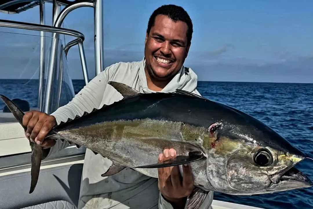 Is bigeye or yellowfin better?, Eye Size