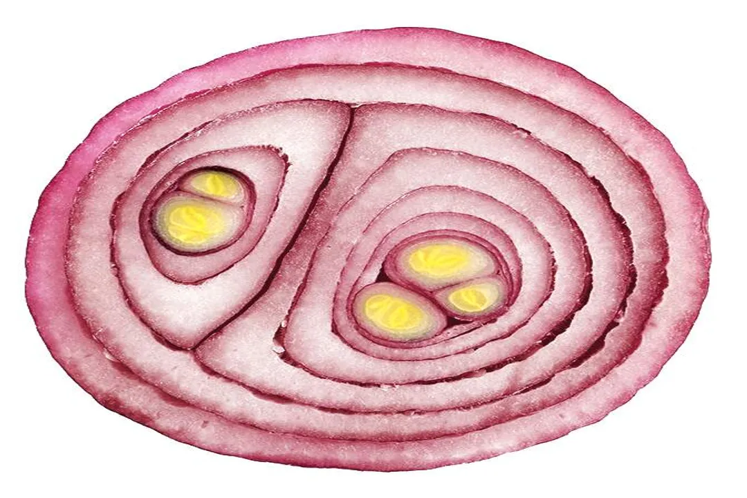 Is breakfast a time or a meal?, Sequence vs. Slot