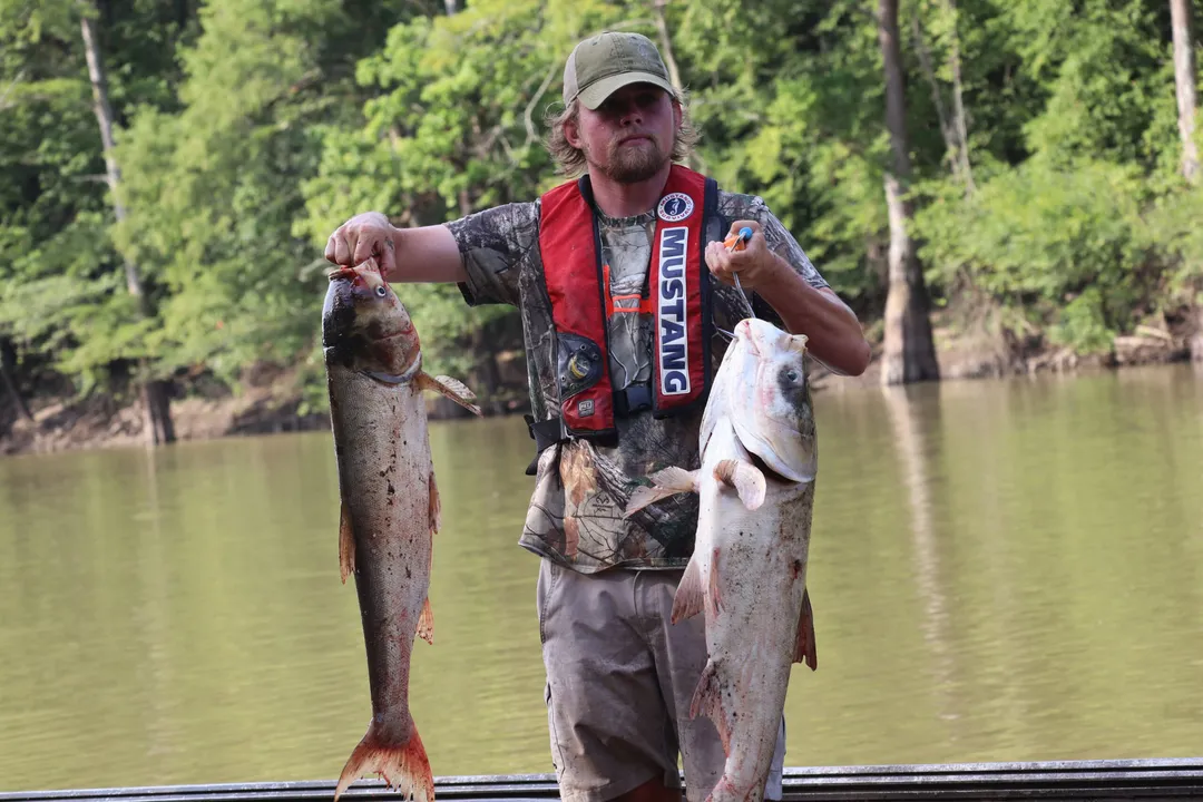 Is carp eaten in the USA?, Consumer Perception Clash