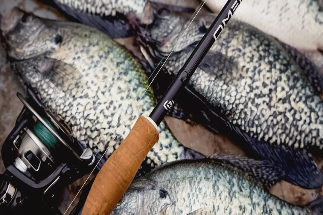 Is crappie sold in stores?, Retail Scarcity