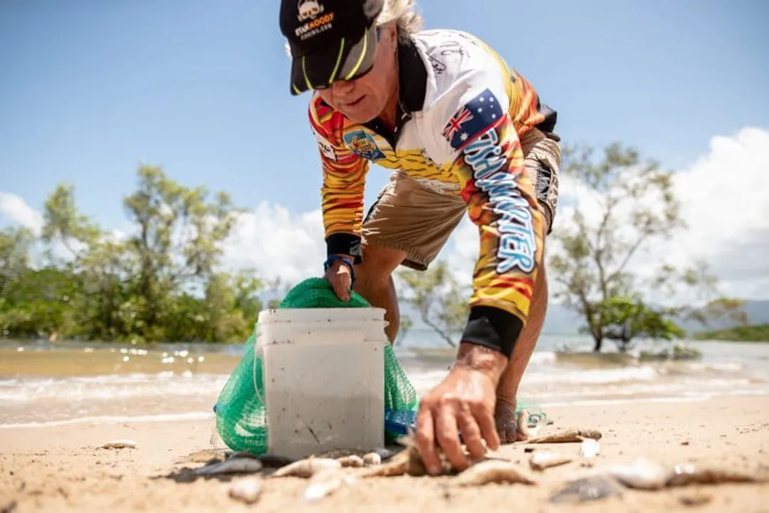 Is golden snapper good for eating?, Regional Context