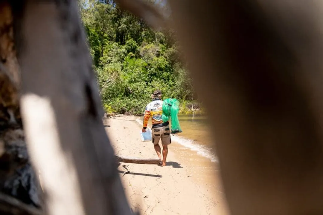 Is golden snapper good for eating?, Critical Handling for Consumption