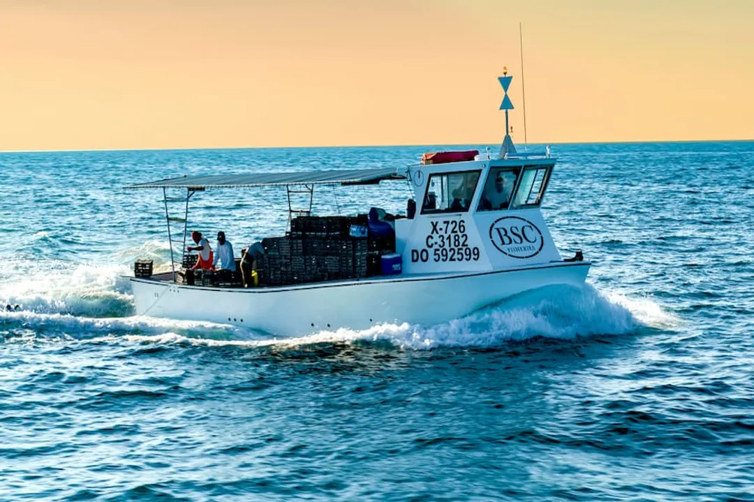 Is it safe to eat stone crabs?