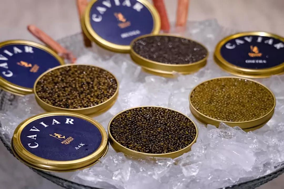 Is Kaluga Queen caviar good?
