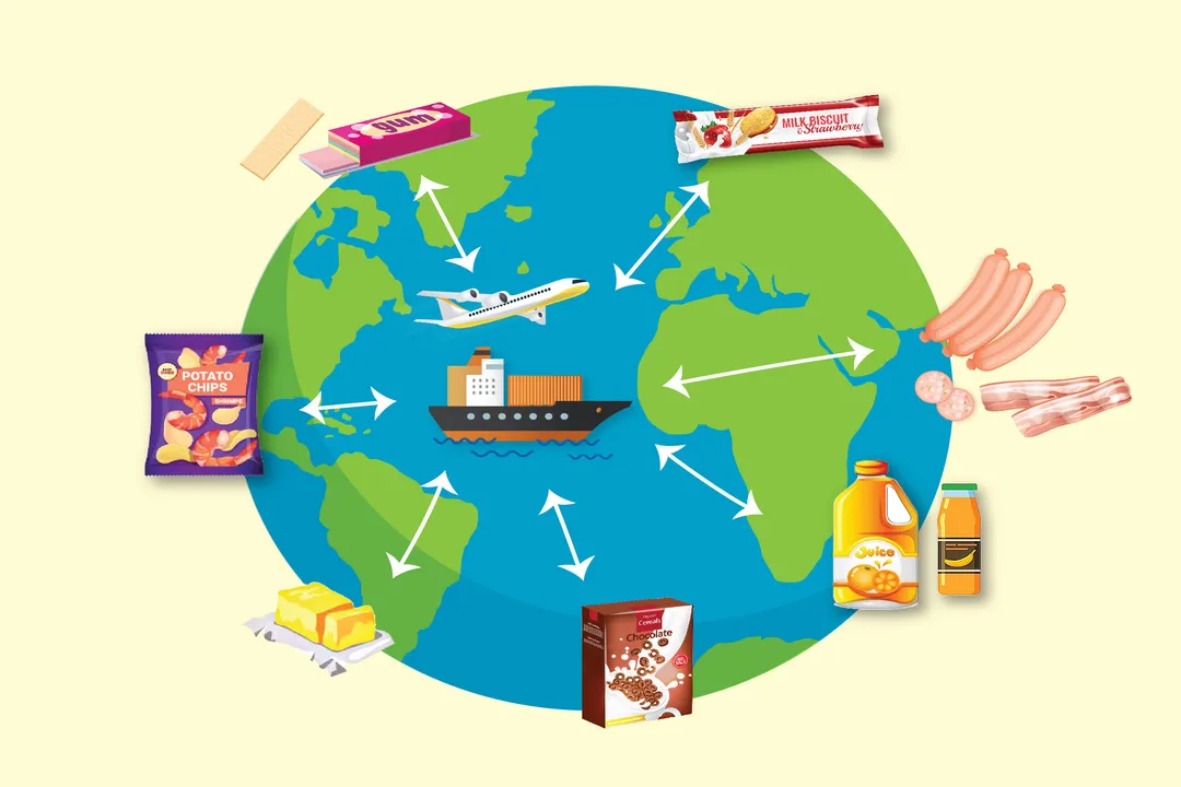 Is preservative food safe?, Food Protection