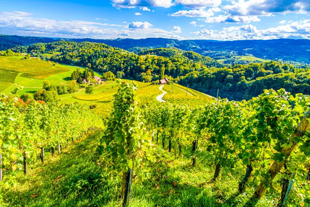 Is the food good in Slovenia?, Regional Melting Pot