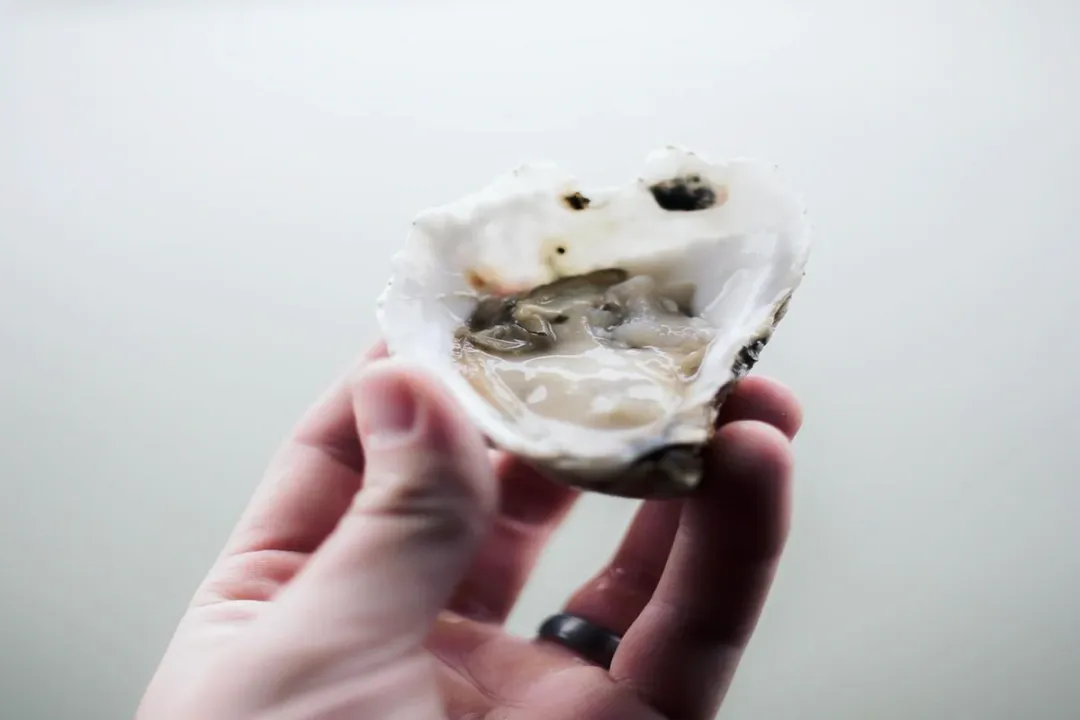 Is there any benefit to eating oysters?, Mineral Density