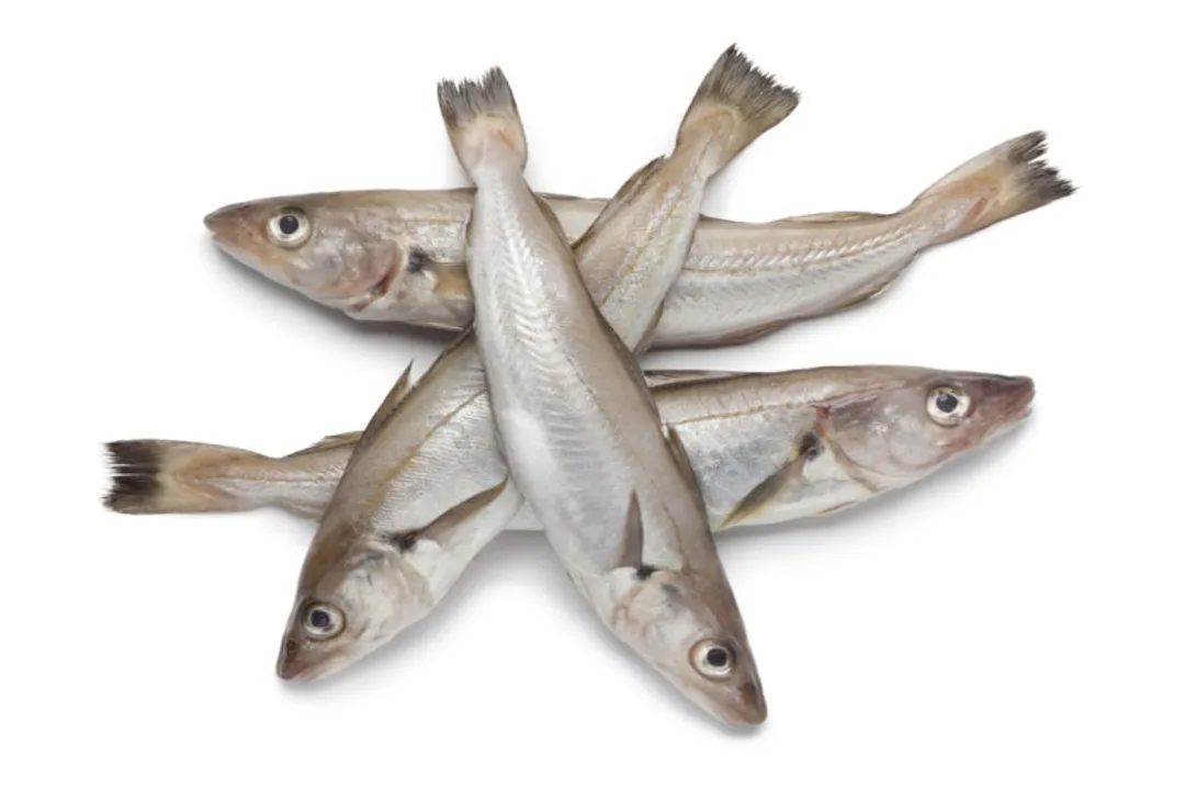 Is whiting or tilapia healthier?, Essential Fats Profile