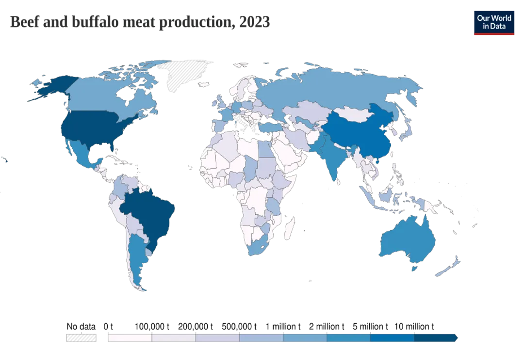 What animal meat is beef?, Word Roots