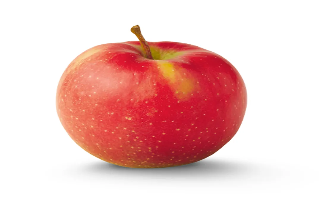 What are examples of produce food?, Defining Produce