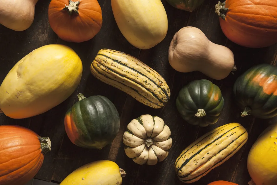 What are some facts about squash?, Culinary Diversity