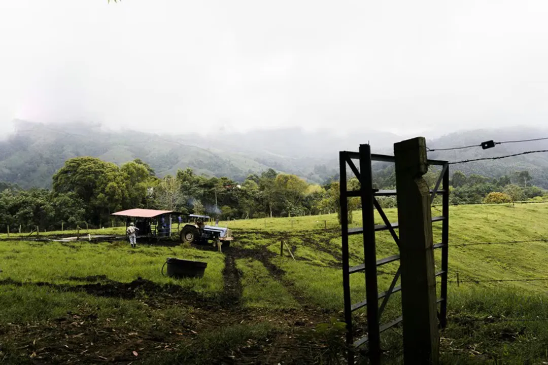 What are the challenges in the current food system?, Environmental Impact