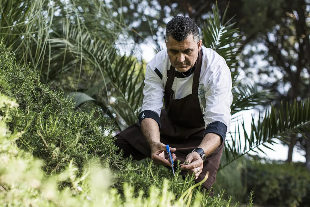 What are the main types of gastronomy?