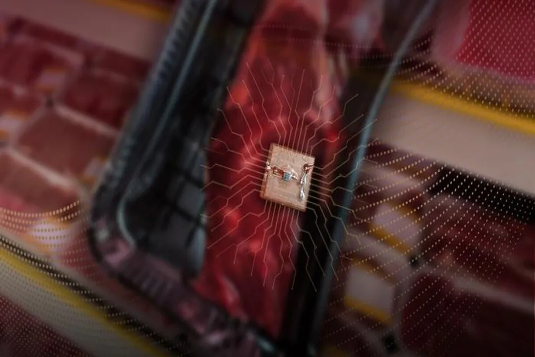 What are the sensors for food spoilage?, Volatile Indicators