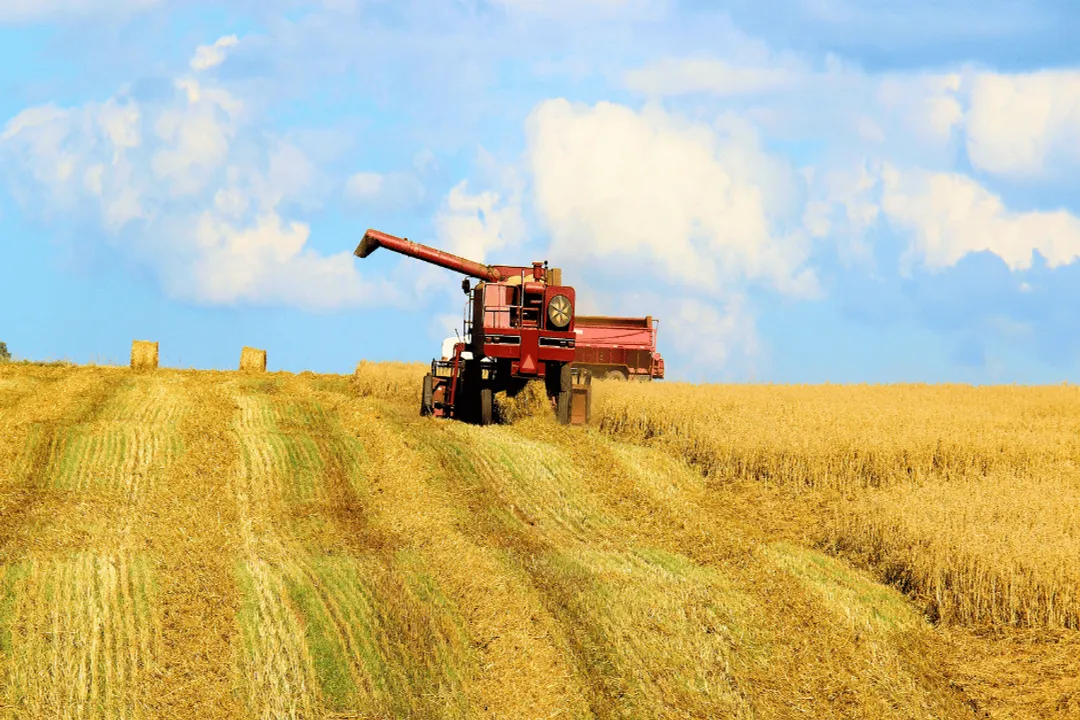 What are the two types of food production?