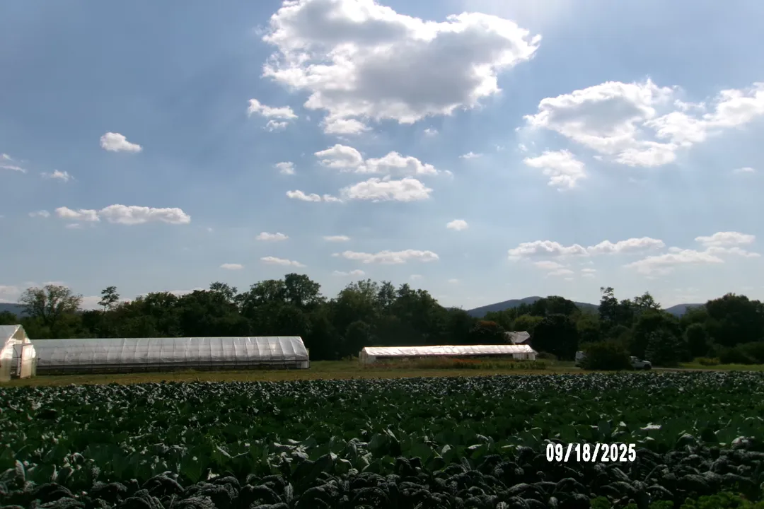 What are the two types of food production?, Subsistence Farming