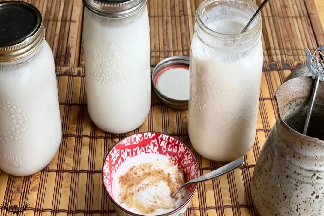 What can I use as a starter culture?