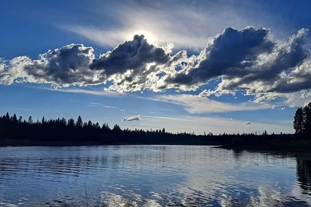 What does a walleye fish taste like?, Flavor Profile