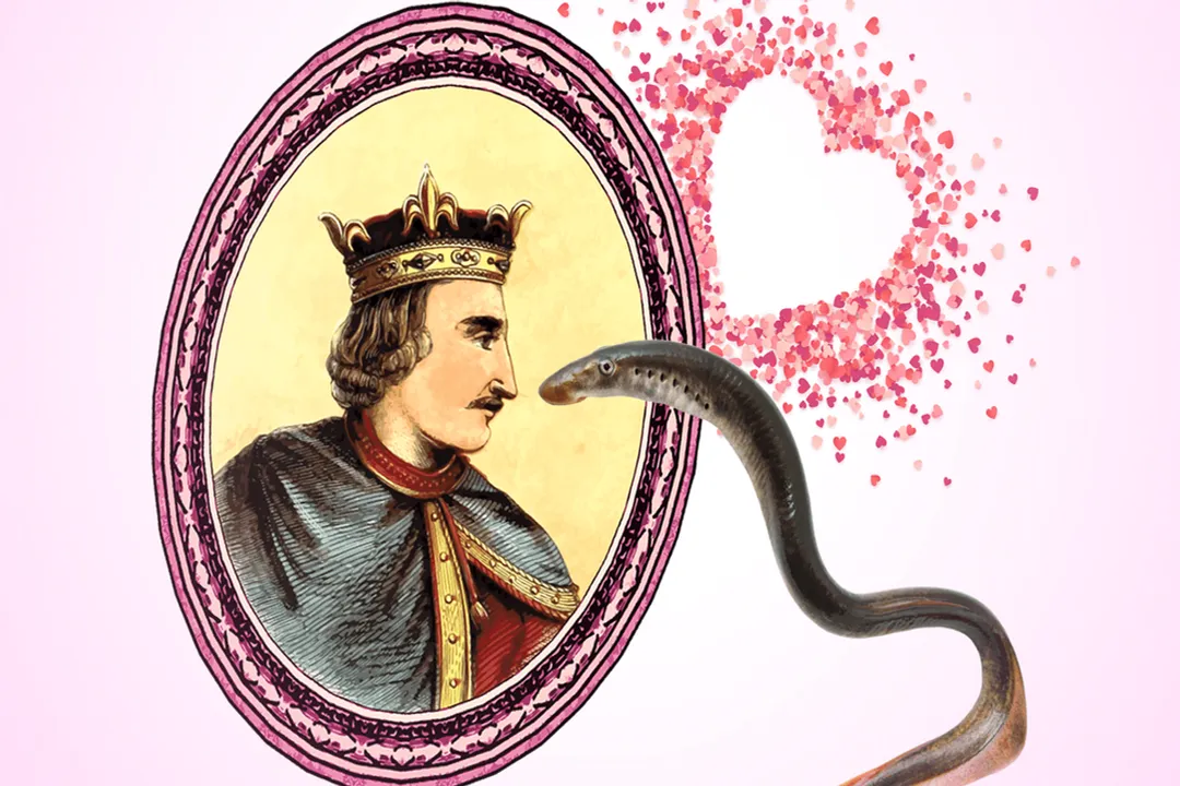 What does lamprey meat taste like?, Flavor Profile