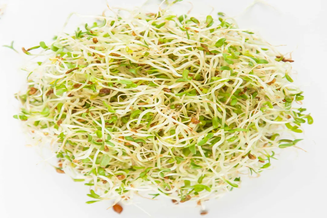 What exactly is a sprout?, Seed Life