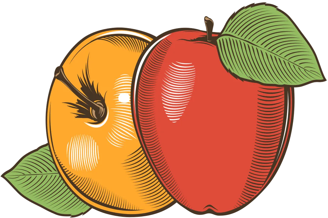 What foods are high in preservatives?, Common Sources