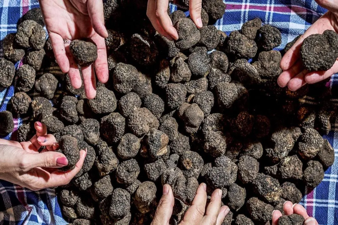 What is a signature dish in a restaurant?, Creation Insights