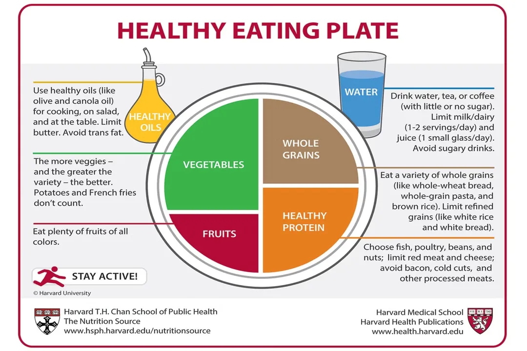 What is the primary scope that distinguishes 'food' from 'meal' and 'diet'?