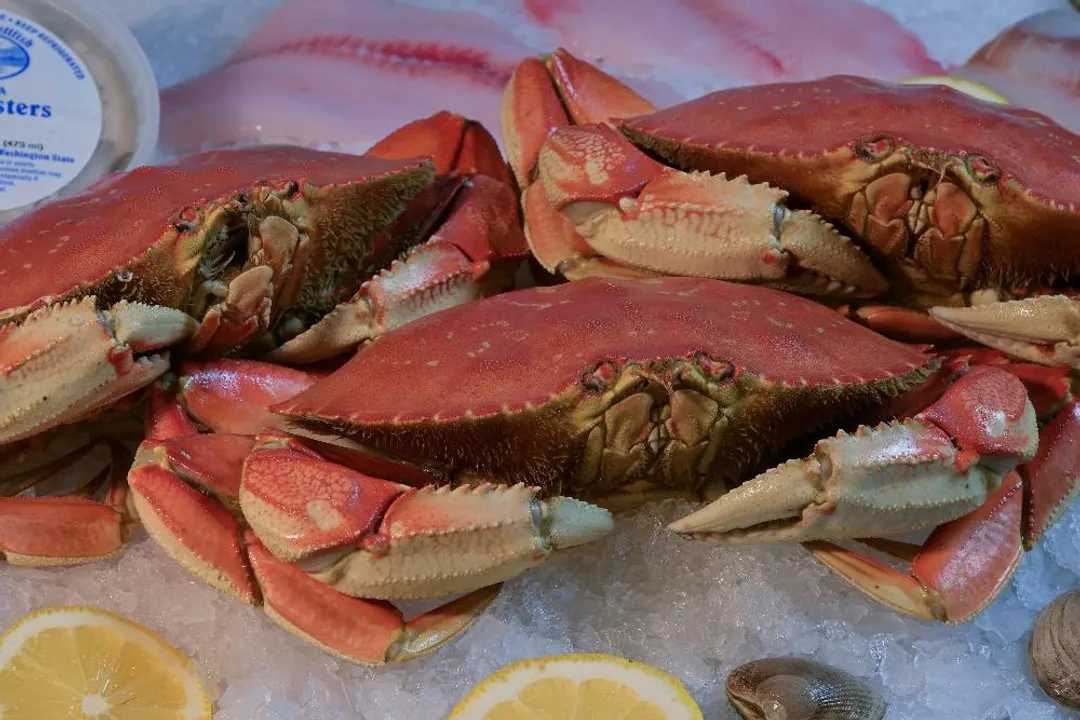 What is the best crab in the US?