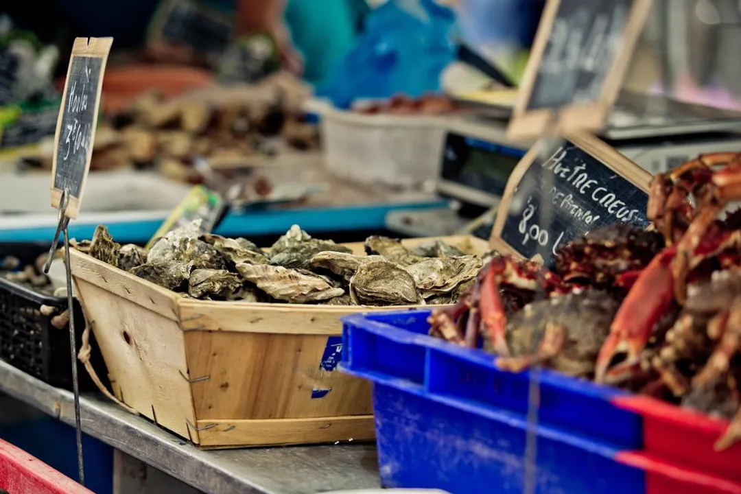 What is the famous dish in Brittany?, Pancake Distinction