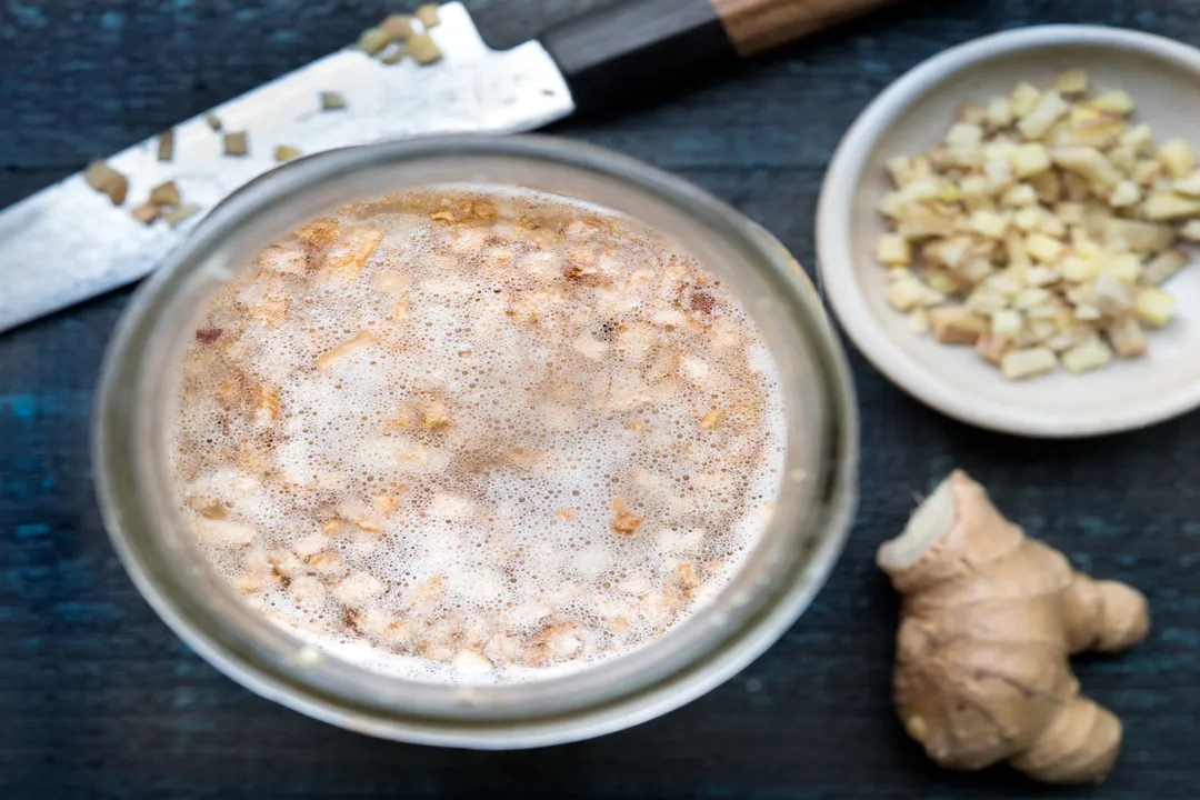 What is the ginger bug?, Necessary Components