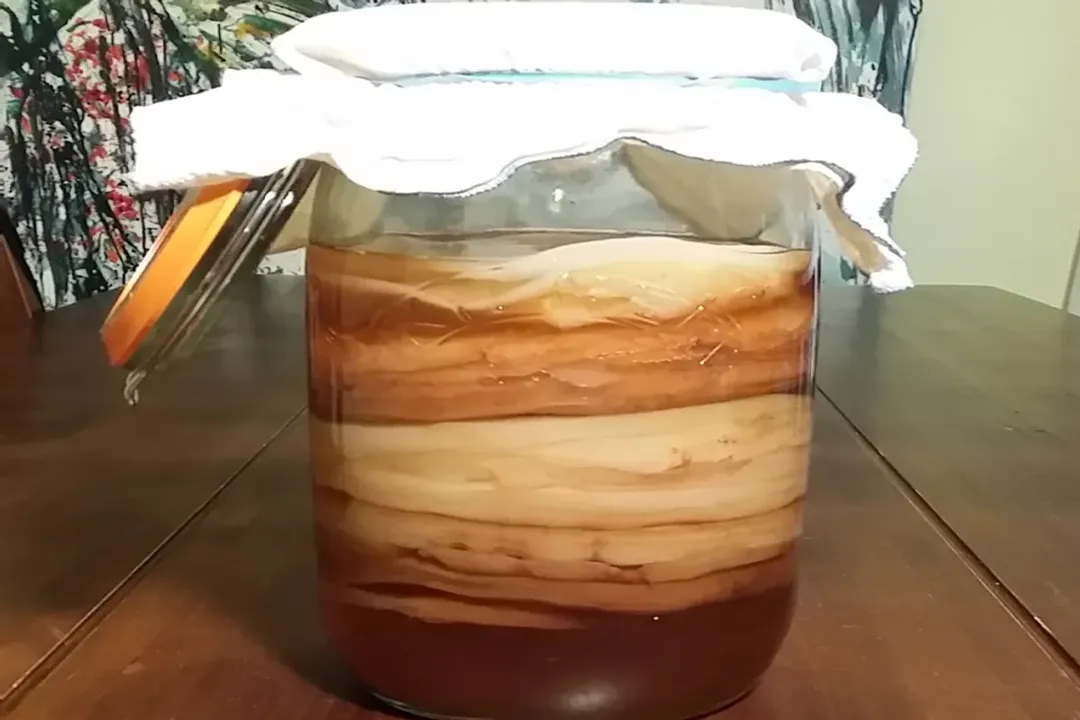 What is the ginger bug?, Living Starter