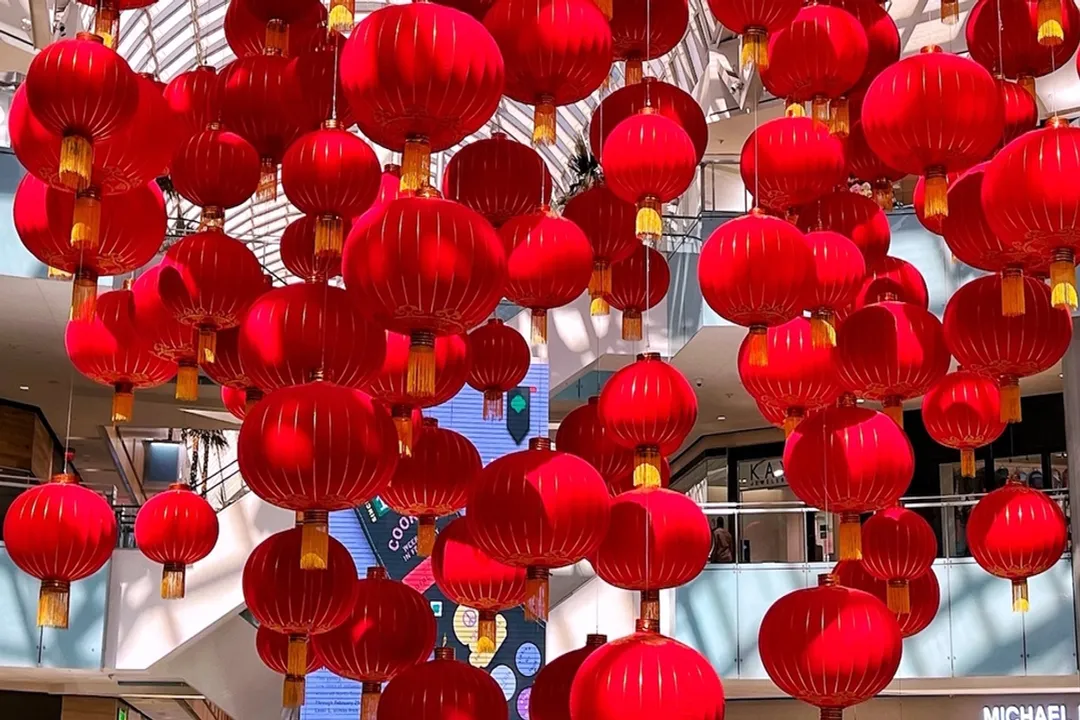 What is the most ordered dish at New China Wok?, Takeout Contenders