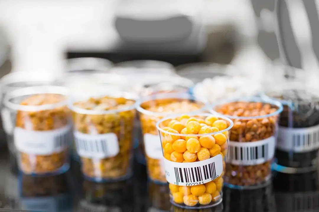 What is the shelf life?, Defining Terms