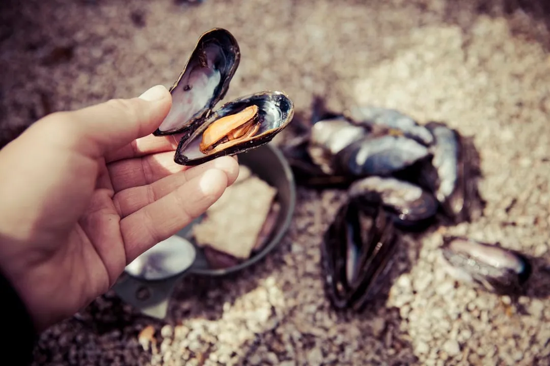 What is the traditional diet in Greenland?