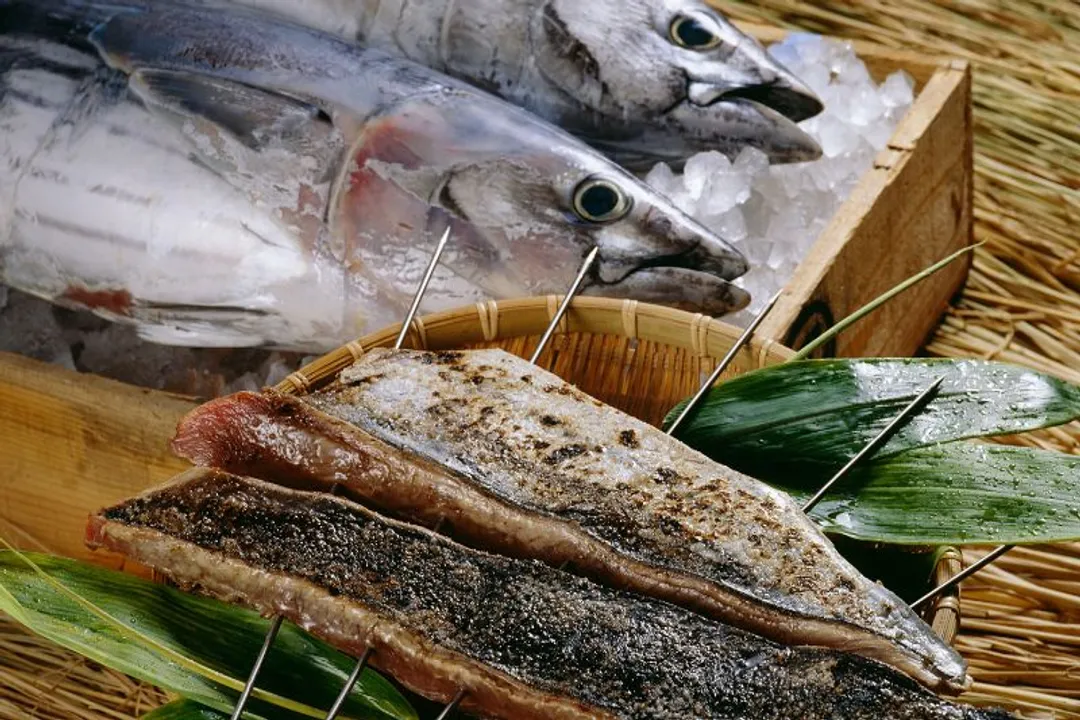 What is Tosa cuisine?, Tataki Secrets