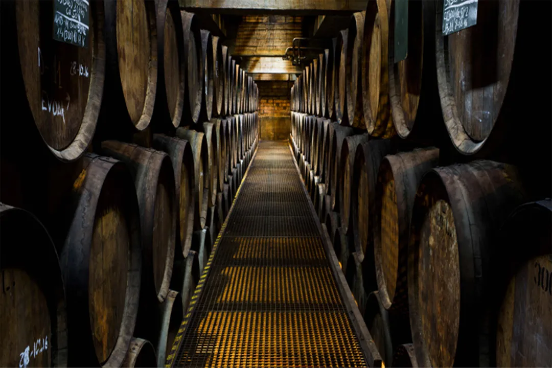 What kind of liquor is Torres?, The Range Offered